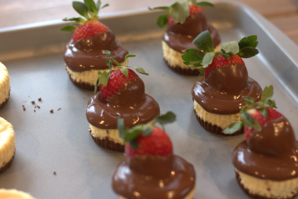 Mini chocolate covered Cheesecakes, perfect for Valentine’s Day!