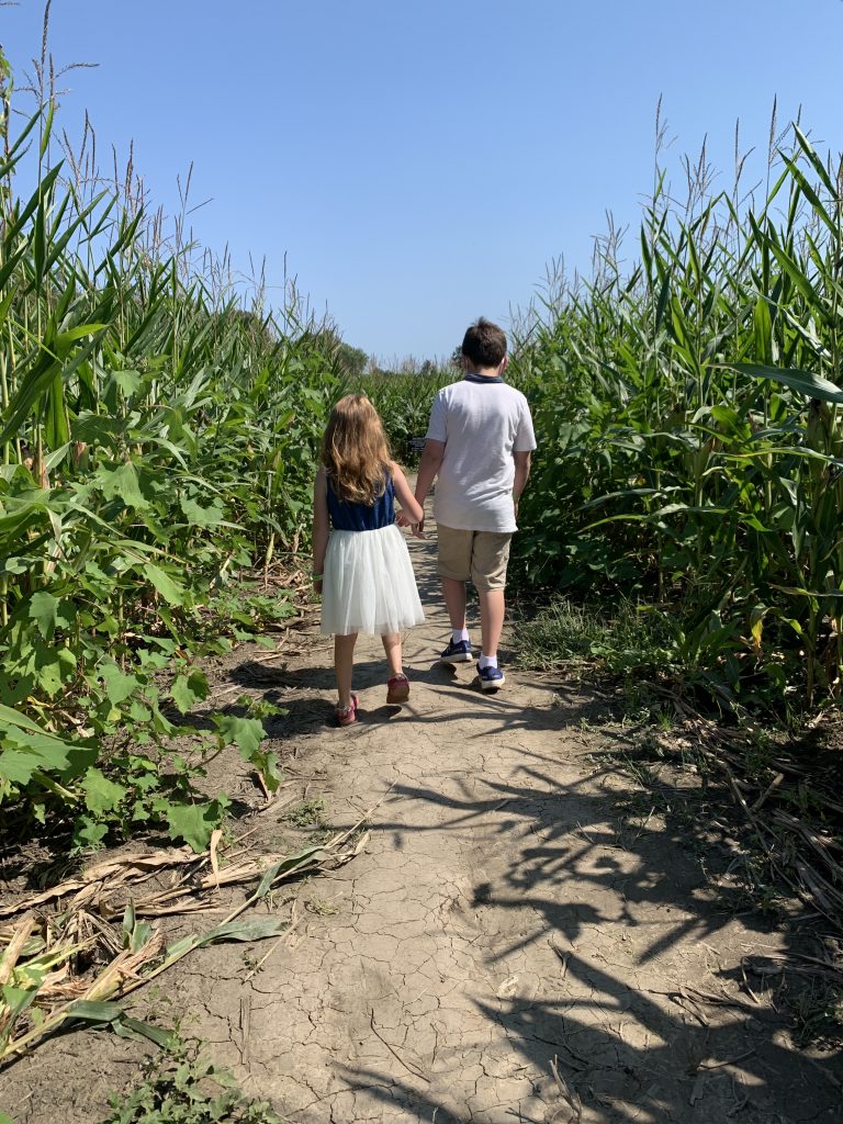 Corn maze. Fun activities to do in VA & MD