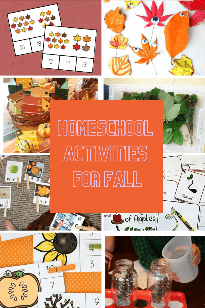 Fall Homeschool Activities - Sandee Booth | Lifestyle Blog