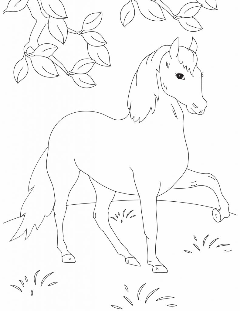 horse and leaves for Fun printables for kids