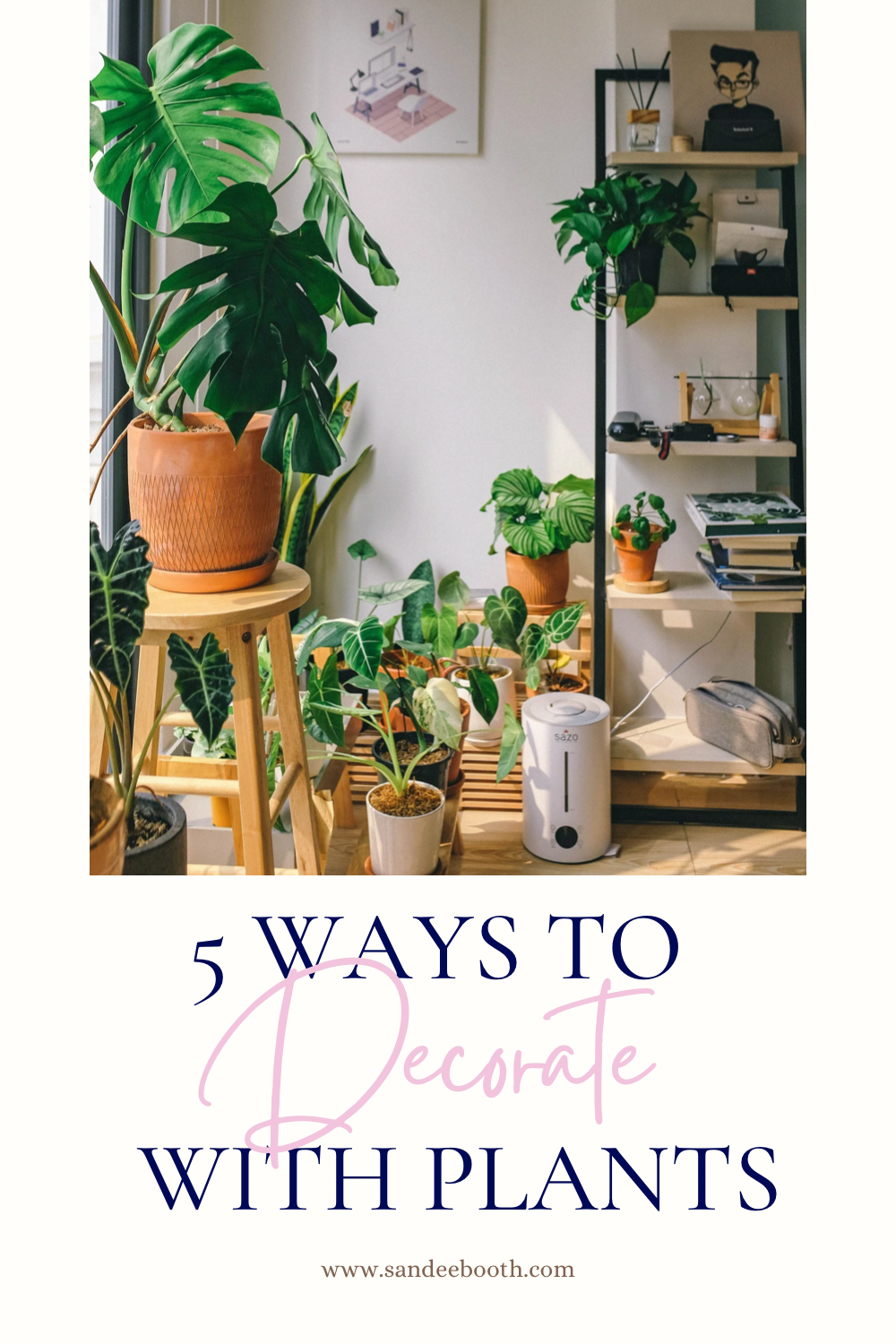 5 Ways To Decorate With Plants